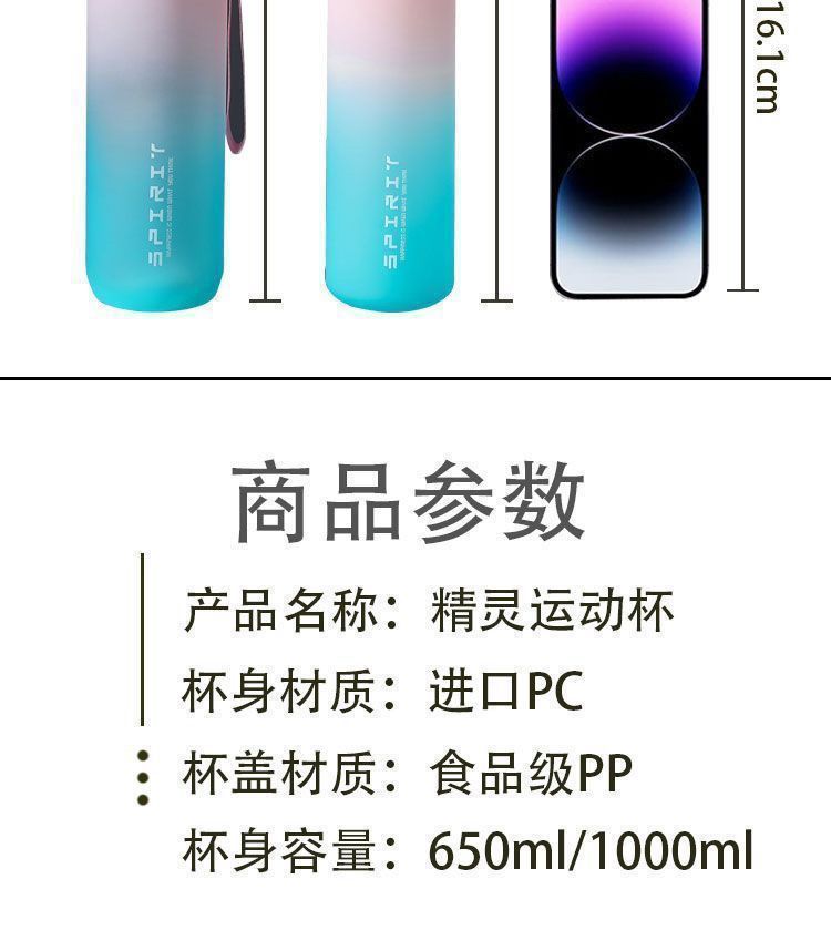 Sports Water Bottle - Large Capacity